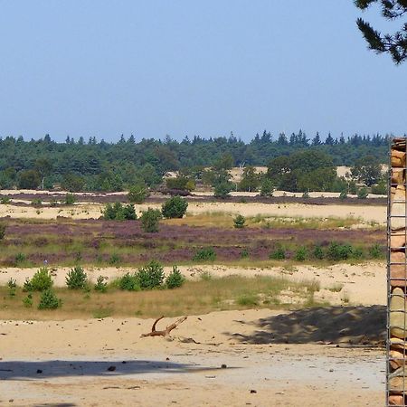 Chalet Near The Loonse And Drunense Duinen Udenhout Dış mekan fotoğraf