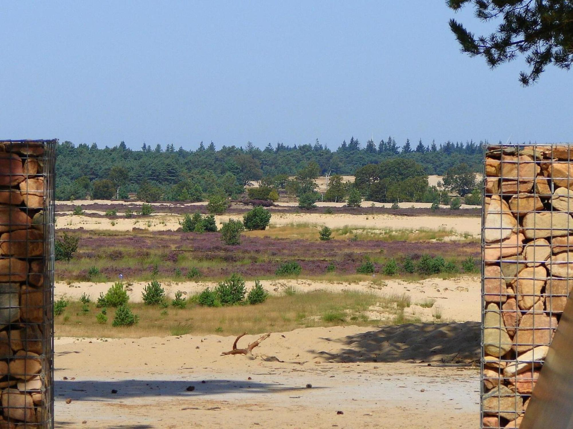Chalet Near The Loonse And Drunense Duinen Udenhout Dış mekan fotoğraf